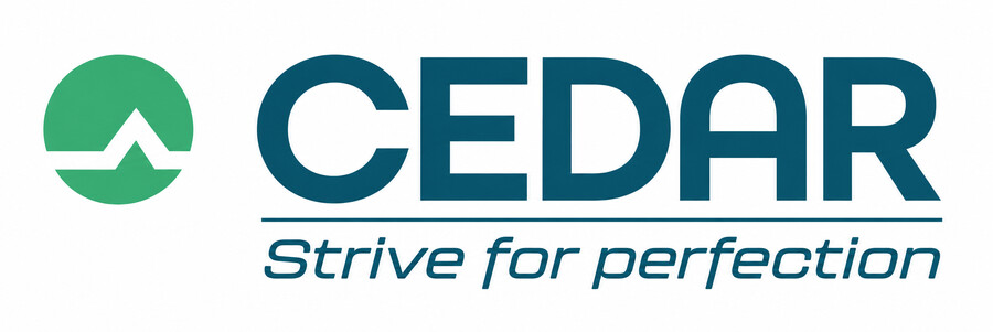 CEDAR Audio